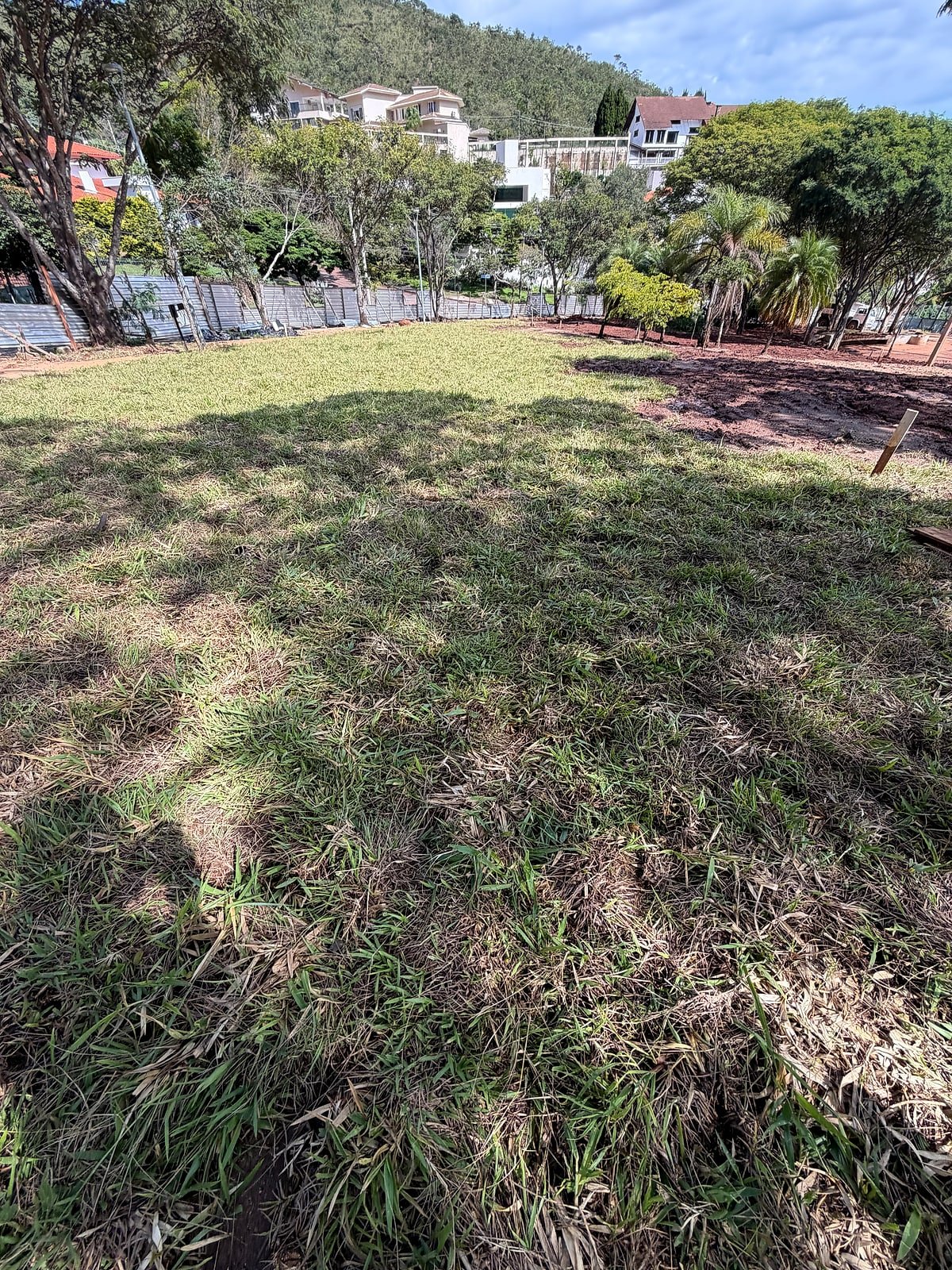 Batatais em paisagem rústica — talude e área natural