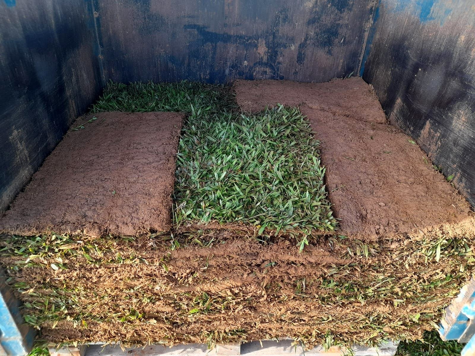 Placas de Grama São Carlos Plus carregadas para entrega